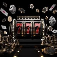 655 bet
